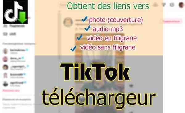 Tiktok Téléchargez la vidéo, l'audio et la couverture