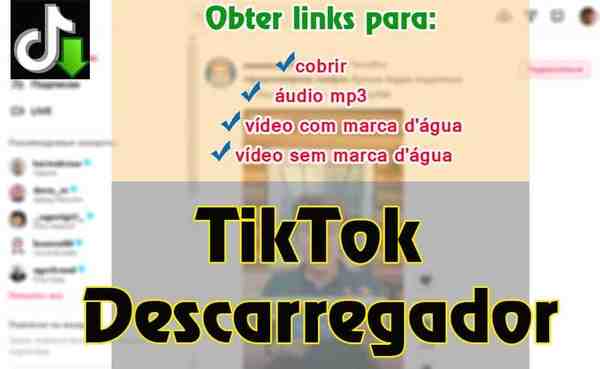 TikTok baixar vídeo, áudio e arte da capa