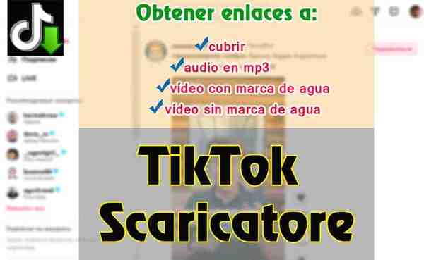 TikTok descargar video, audio y portada