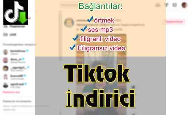 TikTok video, ses ve kapak resmini indirin