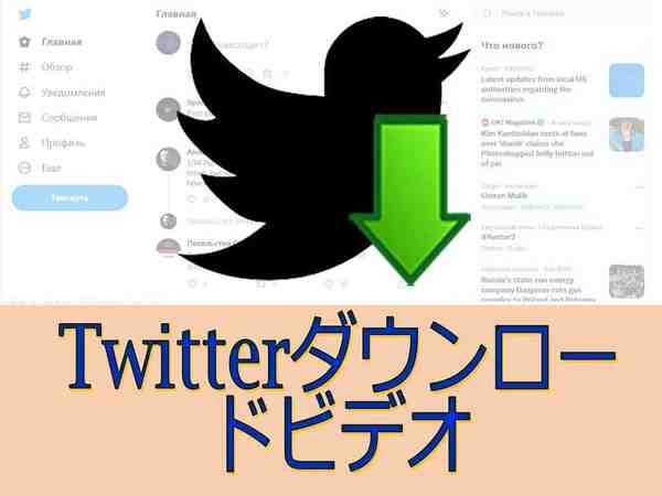 ビデオTwitterをダウンロードしてください